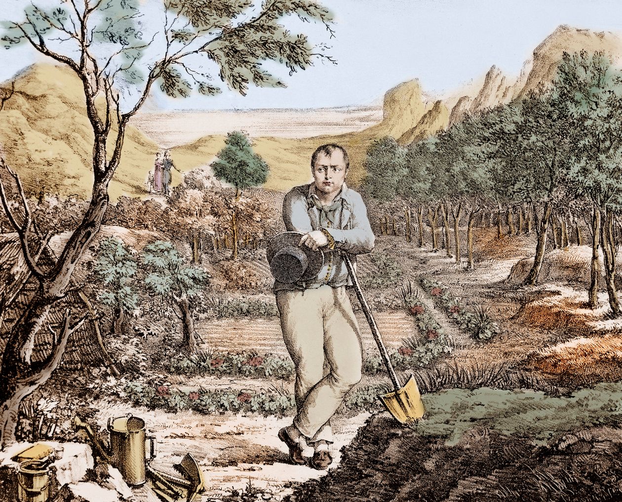 Napoléon le « Jardinier de Sainte Hélène ». Estampe rehaussée d’un auteur inconnu © Stefano BIANCHETTI/BRIDGEMAN IMAGES